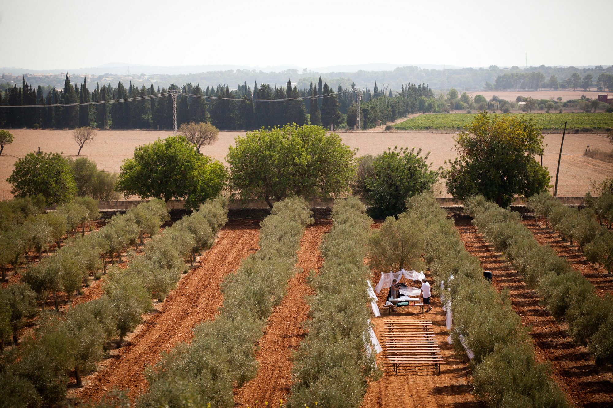 Hotel Weingut & Davero